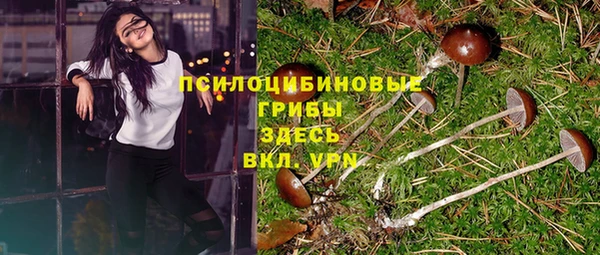 ALPHA PVP Богородицк